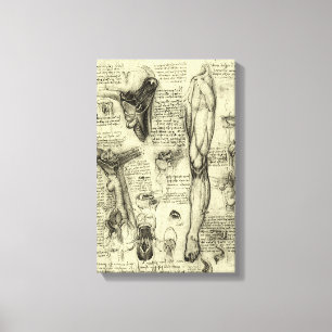  menselijke anatomie Larynx been Leonardo da Vinci Canvas Afdruk