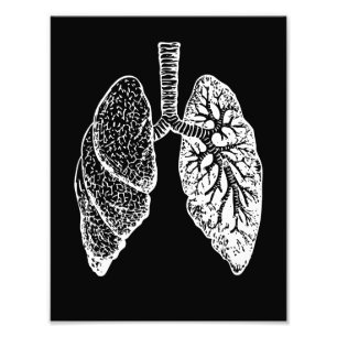 Menselijke anatomie, longen zwart en wit foto afdruk