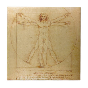 Menselijke Anatomie, Man Vitruvian door Leonardo Tegeltje