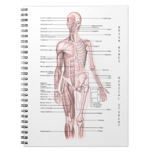 Menselijke anatomie Medische Diagram Gepersonalise Notitieboek