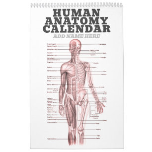 Menselijke anatomie Medische Diagram Novelty Scien Kalender
