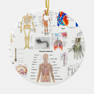 Menselijke anatomie Medische diagrammen, volledig  Keramisch Ornament