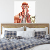 Menselijke anatomie met diepe spieren in de nek canvas afdruk (Insitu (Slaapkamer))