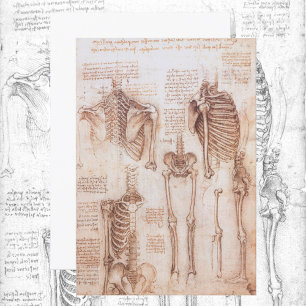 Menselijke anatomie Skeleton Botten van Leonardo d
