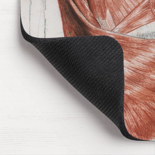 menselijke anatomie; Spieren van de Torso en schou Muismat (Hoek)