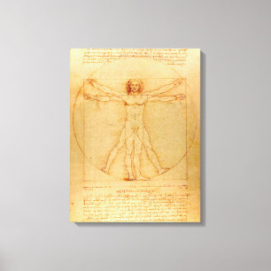 Menselijke anatomie, Vitruviaans Man van Leonardo  Canvas Afdruk