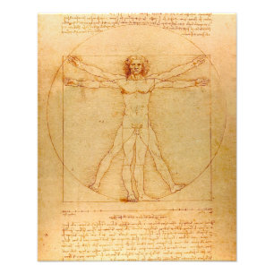 Menselijke anatomie, Vitruviaans Man van Leonardo  Foto Afdruk