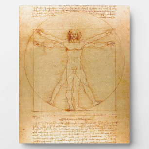 Menselijke anatomie, Vitruviaans Man van Leonardo  Fotoplaat