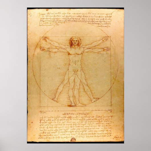 Menselijke anatomie, Vitruviaans Man van Leonardo Poster (Voorkant)