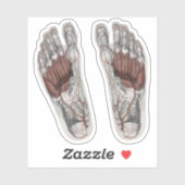  menselijke anatomie Voetafdruk podiatry Foot Sticker (Vel)
