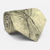 Menselijke anatomie, Vrouw Torso van Leonardo da V Stropdas (Opgerold)