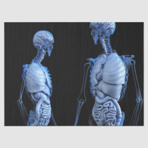 Menselijke Anatomie Weefseldocument Tissuepapier