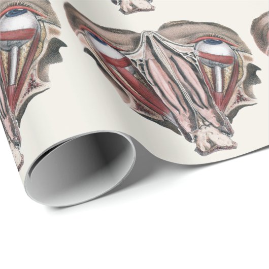 menselijke anatomie Wetenschap, Eyeballen Eyes Cadeaupapier (Rol Hoek)