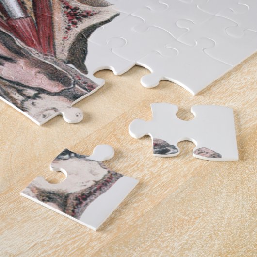  menselijke anatomie Wetenschap, Eyeballen Eyes Legpuzzel (Zijkant)