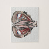  menselijke anatomie Wetenschap, Eyeballen Eyes Legpuzzel (Verticaal)