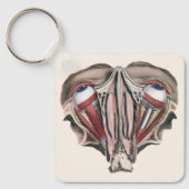 menselijke anatomie Wetenschap, Eyeballen Eyes Sleutelhanger (Voorkant)