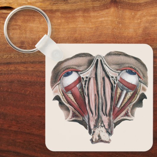  menselijke anatomie Wetenschap, Eyeballen Eyes Sleutelhanger (Voorkant)