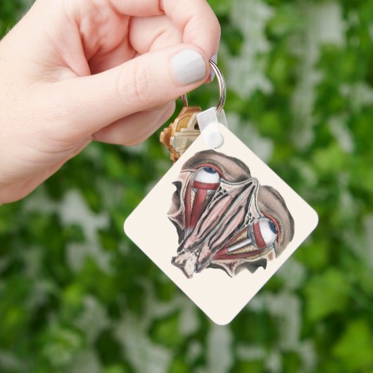 menselijke anatomie Wetenschap, Eyeballen Eyes Sleutelhanger (Hand)