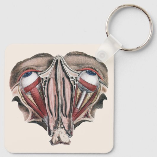  menselijke anatomie Wetenschap, Eyeballen Eyes Sleutelhanger (Achterkant)