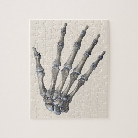  menselijke anatomie wetenschap, skelethanden legpuzzel (Verticaal)
