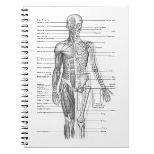Menselijke anatomiegrafiek notitieboek