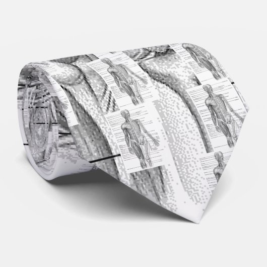 Menselijke anatomiegrafiek stropdas (Opgerold)