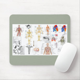 Menselijke anatomiekaarten muismat