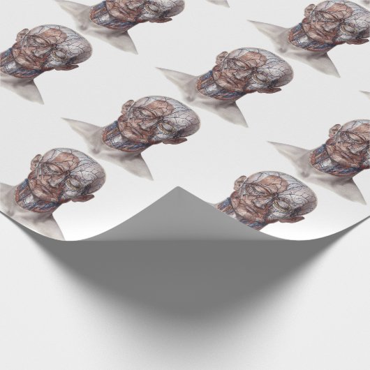 menselijke anatomiewetenschap, hoofd Throat Nose Cadeaupapier (Hoek)