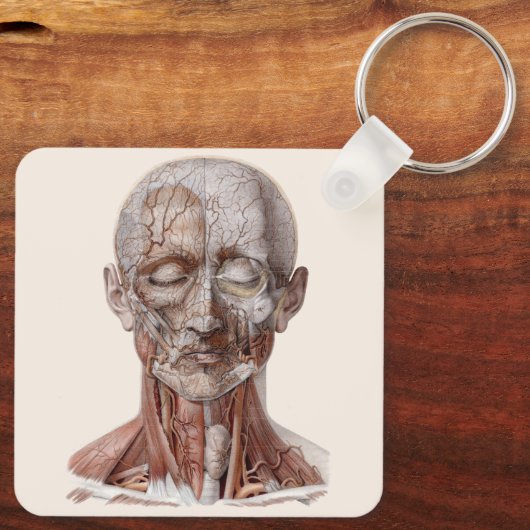 menselijke anatomiewetenschap, hoofd Throat Nose Sleutelhanger (Achterkant)