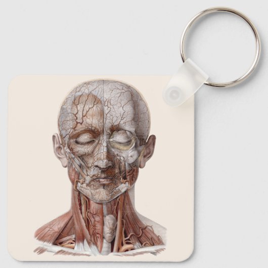 menselijke anatomiewetenschap, hoofd Throat Nose Sleutelhanger (Achterkant)