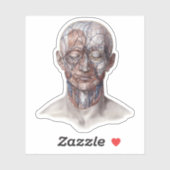 menselijke anatomiewetenschap, hoofd Throat Nose Sticker (Vel)