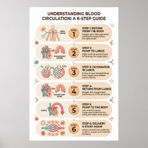Menselijke Bloedsomloop: Een 6-staps Educatief Poster