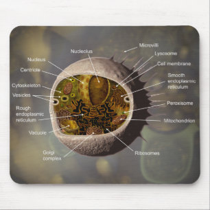 Menselijke celmousepad muismat