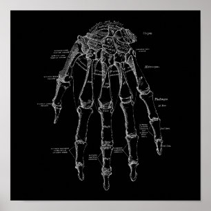 Menselijke Hand Botten Anatomie Illustratie Oud Me Poster