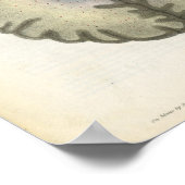 Menselijke hersenanatomie Afdrukken Poster (Hoek)