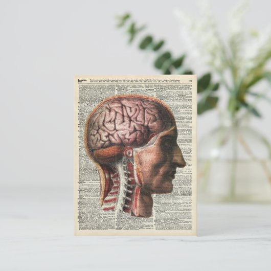 Menselijke hersenanatomie briefkaart (Staand voorkant)