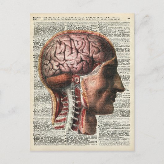 Menselijke hersenanatomie briefkaart (Voorkant)