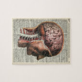 Menselijke hersenanatomie legpuzzel (Horizontaal)