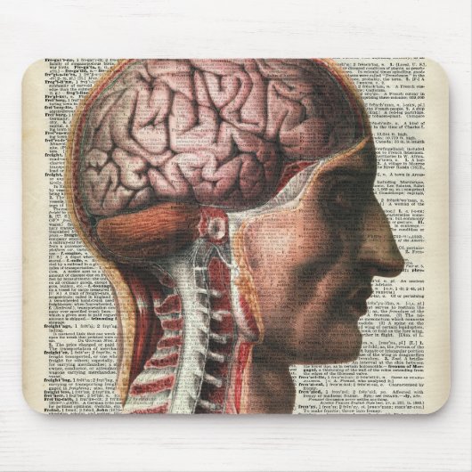 Menselijke hersenanatomie muismat (Voorkant)