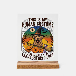 Menselijke Kostuum Labrador Retriever Halloween He Acryl Bord
