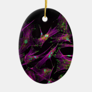 Menselijke longfibroblasten keramisch ornament
