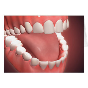 Menselijke mond open, met schitterende tanden, tan