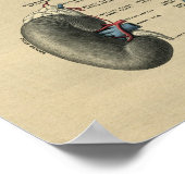 Menselijke nieranatomie 1902 afdrukken poster (Hoek)