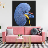 Menselijke niercirculatie canvas afdruk (Insitu (Woonkamer))