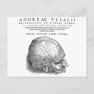 Menselijke schedel briefkaart