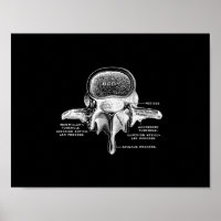 Menselijke vertebrae-anatomie in zwart-wit afdrukk