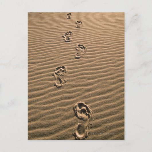 Menselijke voetafdrukken op zandstrand briefkaart (Voorkant)