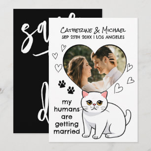 Mensen Die Trouwen Schattige Kattenliefhebbers Han Save The Date