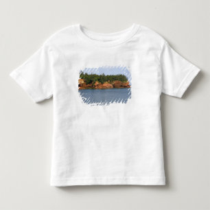 Mensen die zee-canoën in de Fundybaai bij St. Kinder Shirts