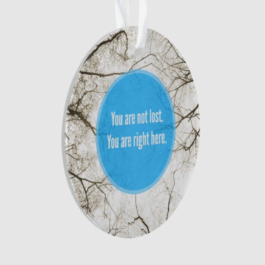 Mensonges de dépression (devant)